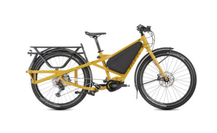 Tern Orox S12 – 29 Zoll E-Lastenrad – 2025